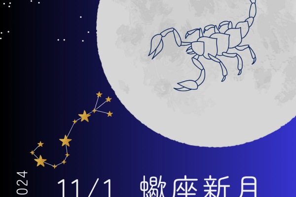 11/1(金)蠍座の新月✦深い深い本音に気付く